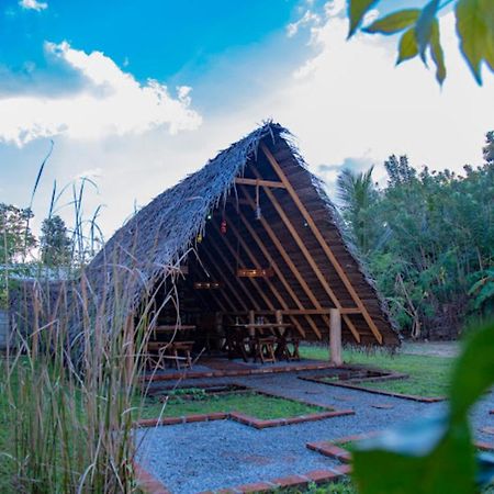 Dinna Nature Hostel سيغيرِيا المظهر الخارجي الصورة