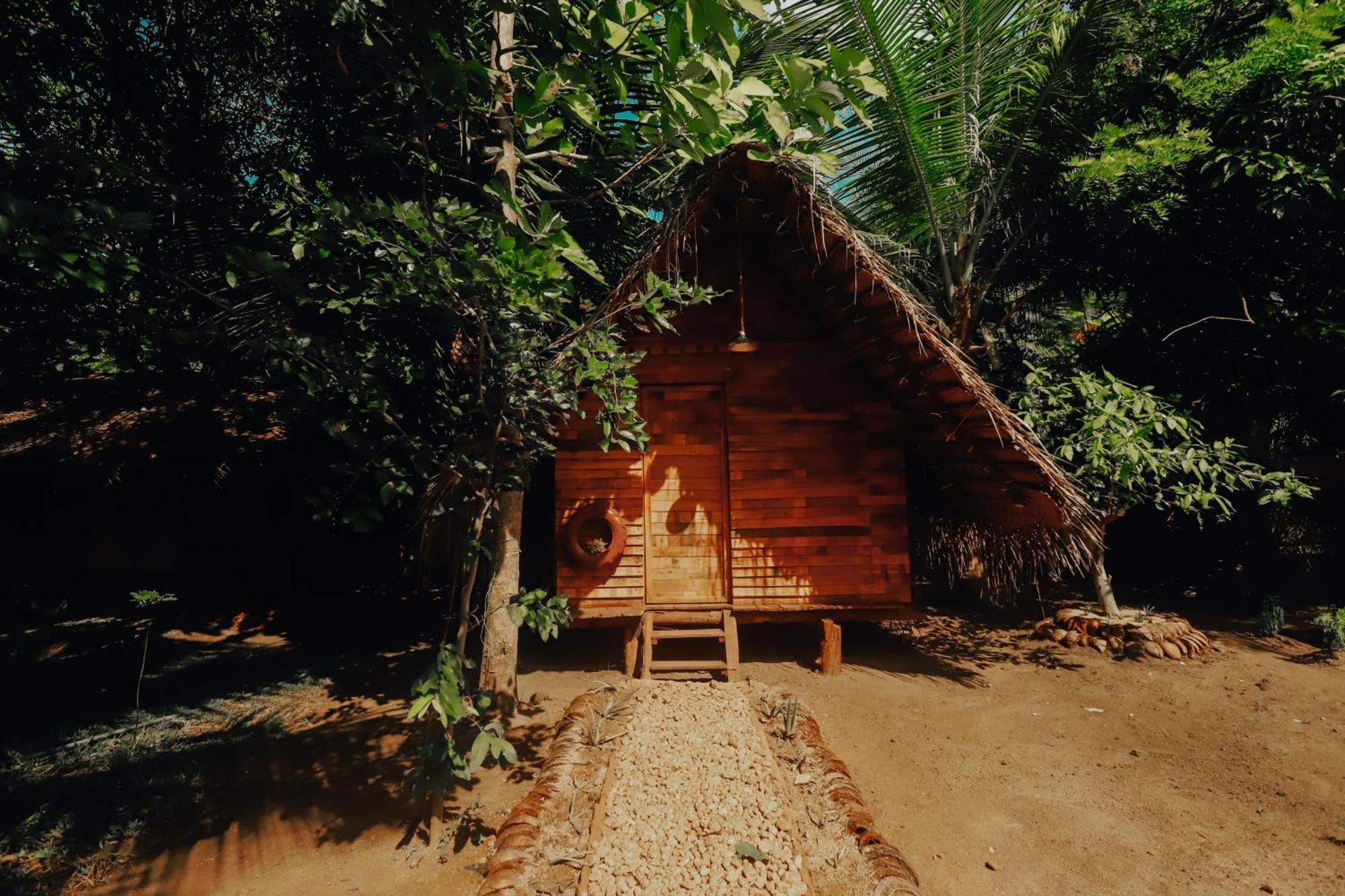 Dinna Nature Hostel سيغيرِيا المظهر الخارجي الصورة