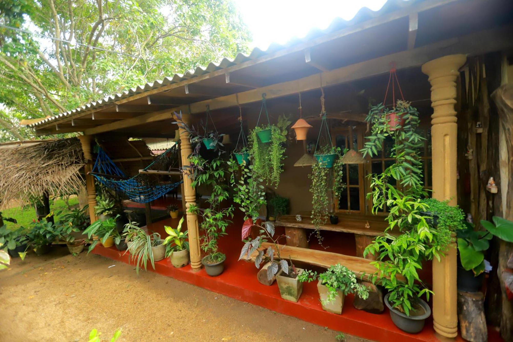 Dinna Nature Hostel سيغيرِيا المظهر الخارجي الصورة