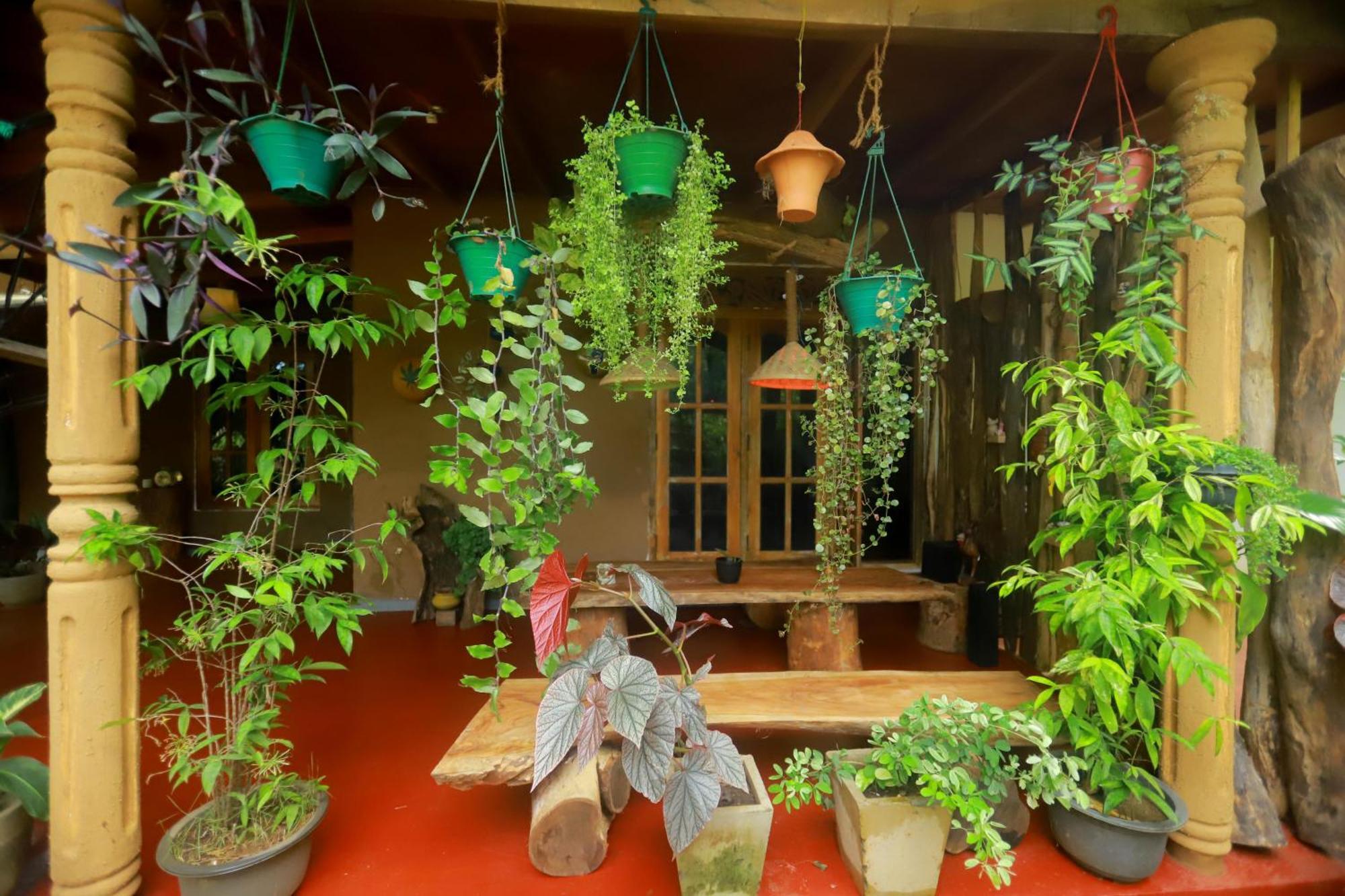 Dinna Nature Hostel سيغيرِيا المظهر الخارجي الصورة