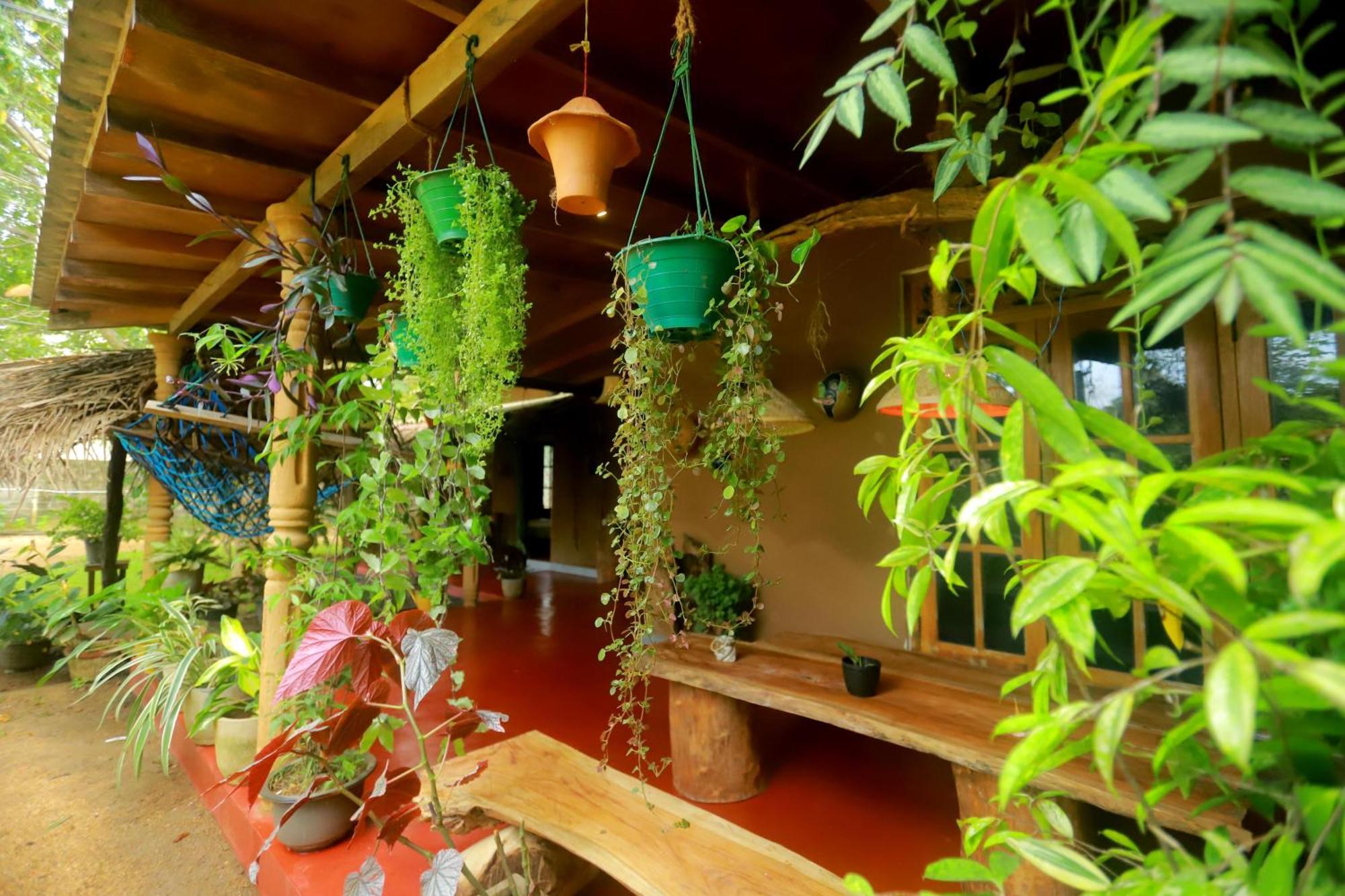 Dinna Nature Hostel سيغيرِيا المظهر الخارجي الصورة