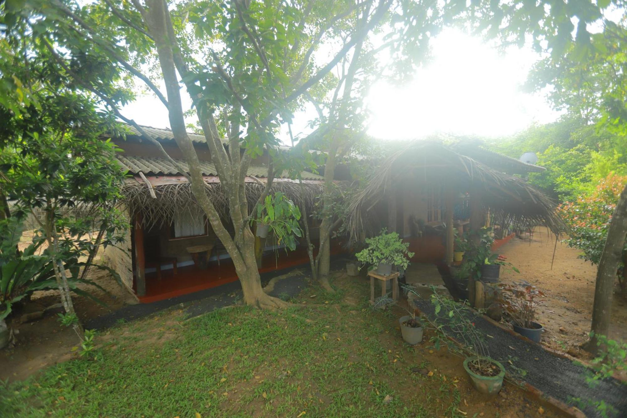 Dinna Nature Hostel سيغيرِيا المظهر الخارجي الصورة