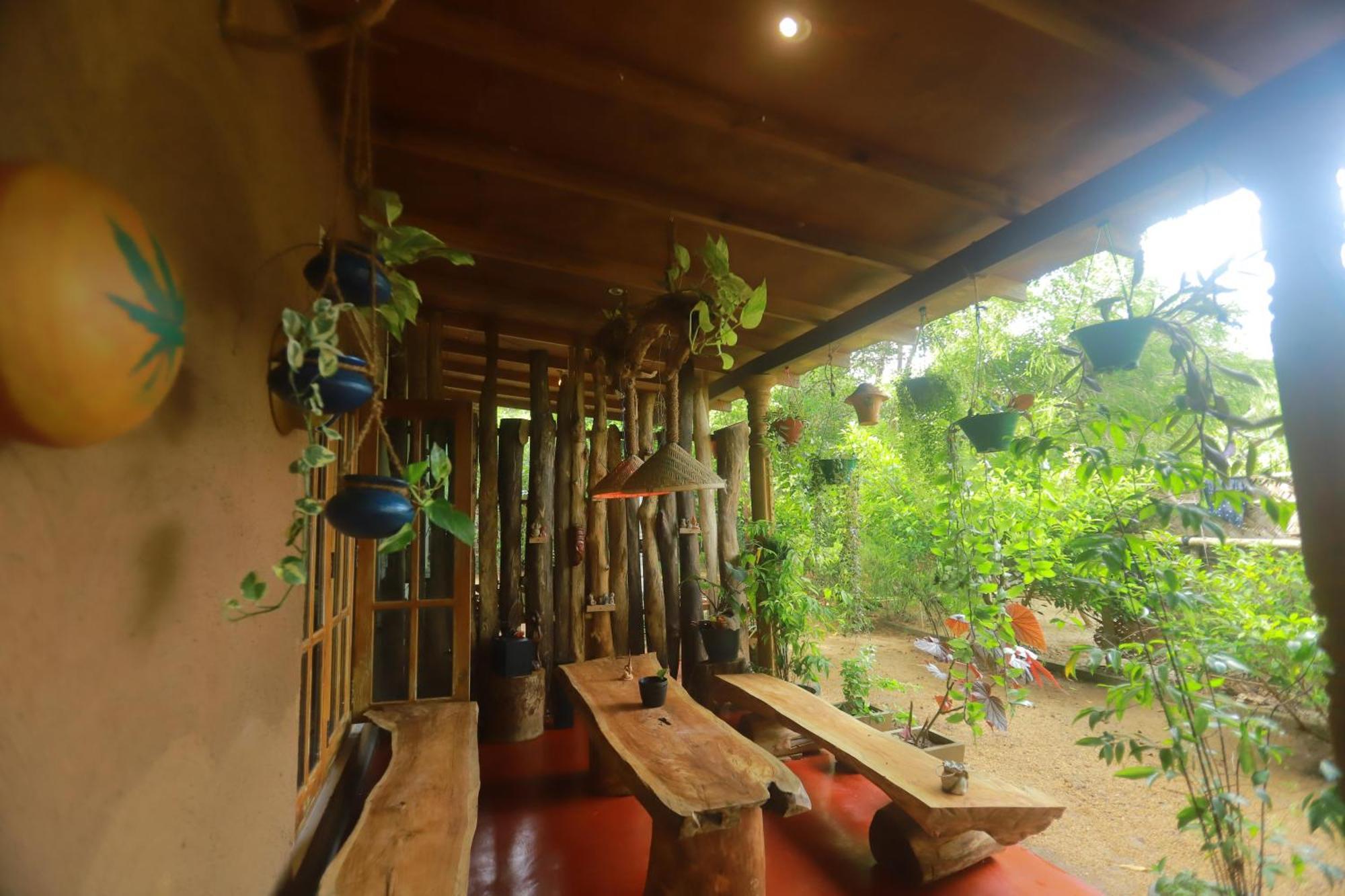 Dinna Nature Hostel سيغيرِيا المظهر الخارجي الصورة