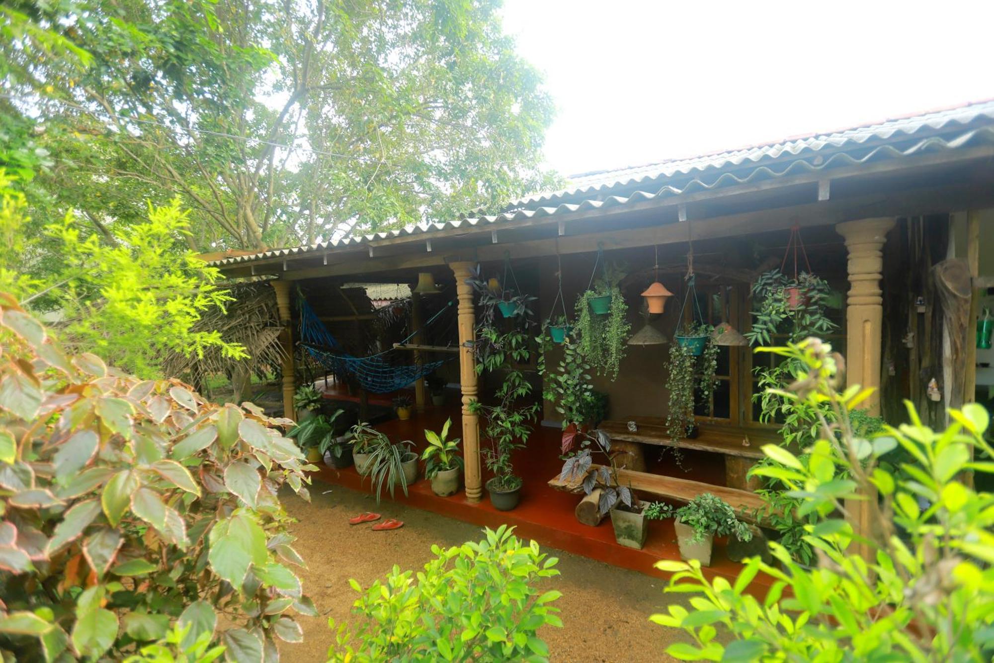 Dinna Nature Hostel سيغيرِيا المظهر الخارجي الصورة