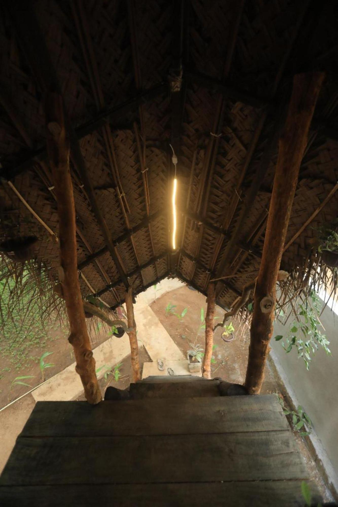 Dinna Nature Hostel سيغيرِيا المظهر الخارجي الصورة